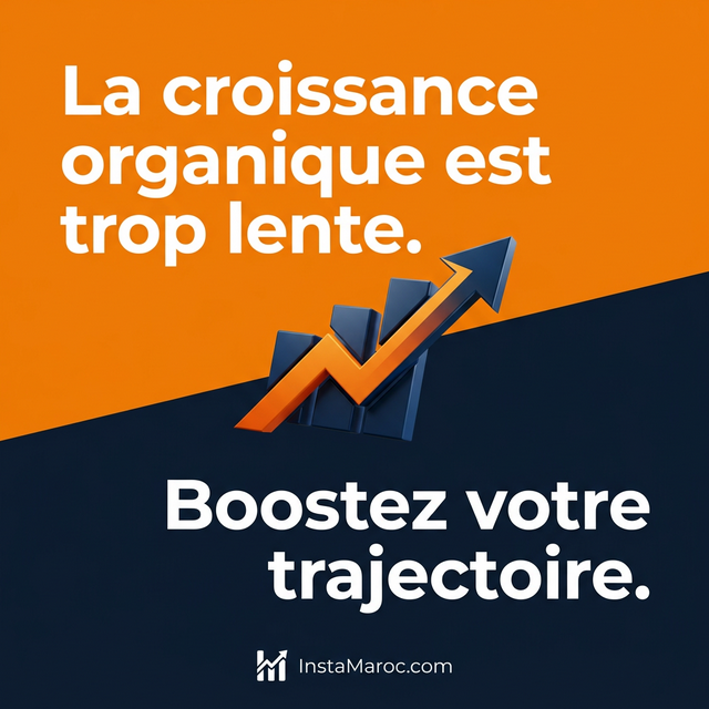 La croissance organique est trop lente — InstaMaroc